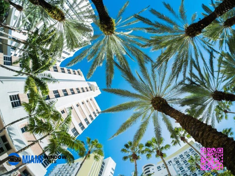 miami-commercial-window-tinting